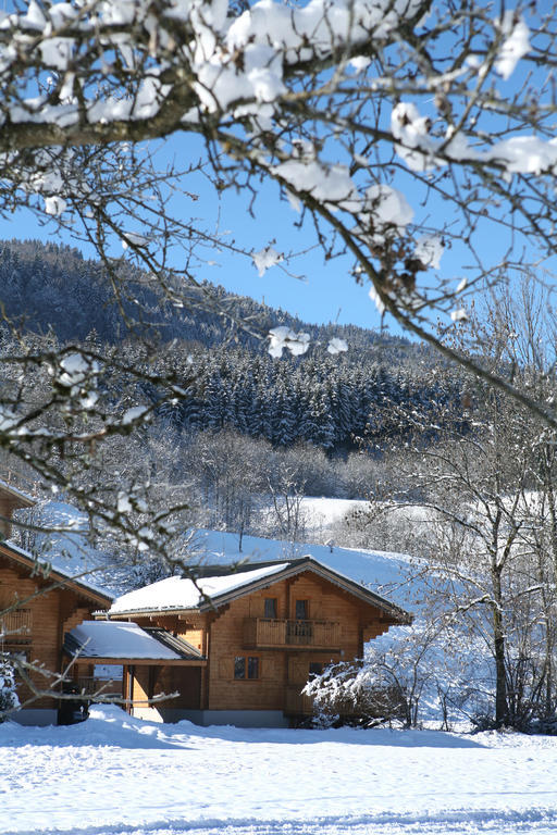 Residence Nemea Les Chalets Du Bois De Champelle Morillon Kültér fotó